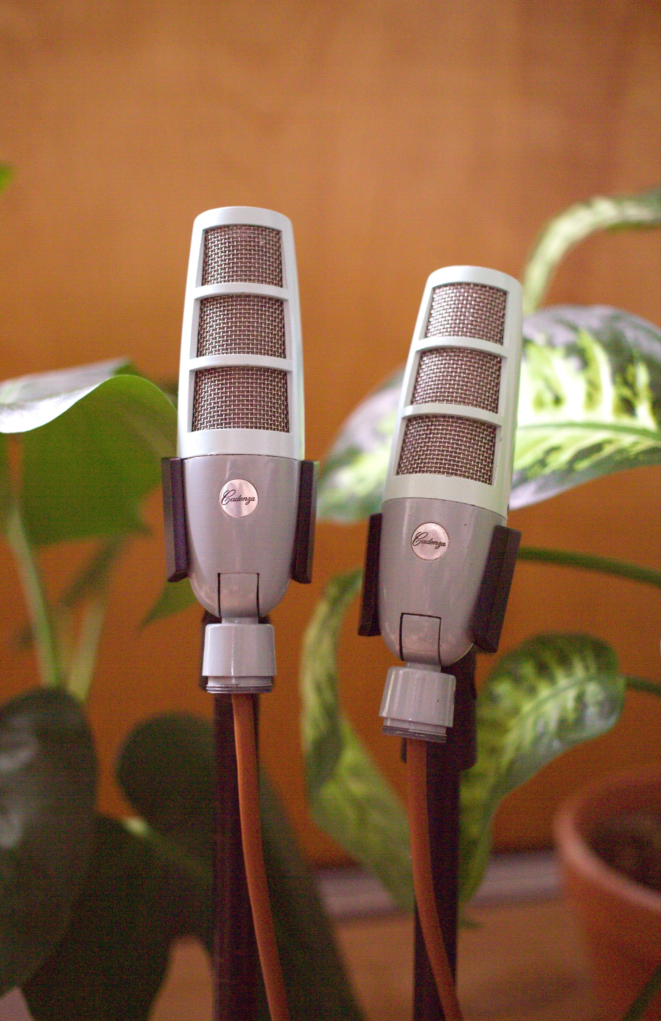 Cadenza Ribbon Microphone Pair