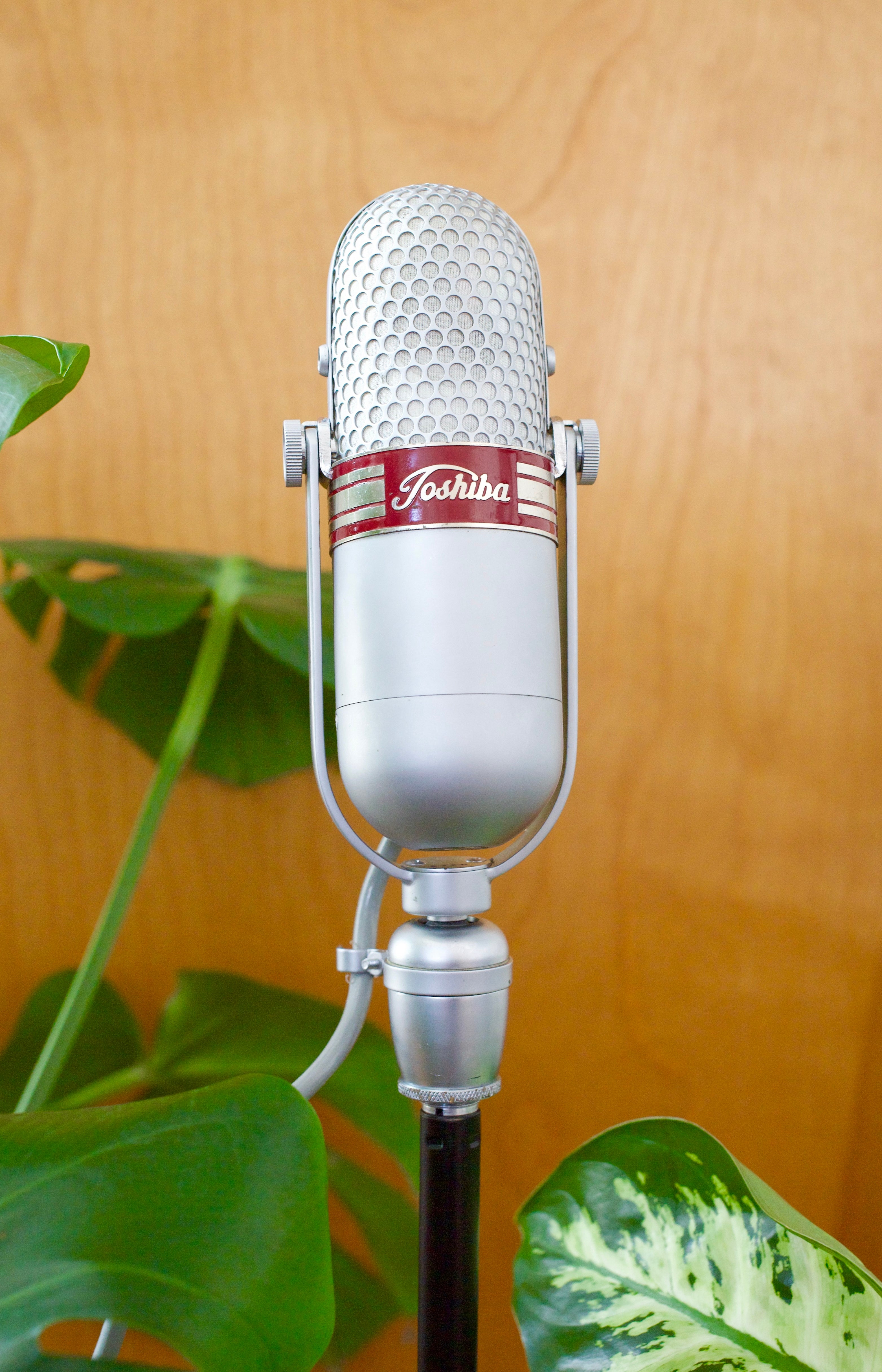 Toshiba Type G Ribbon Microphone – Cole Picks Vintage