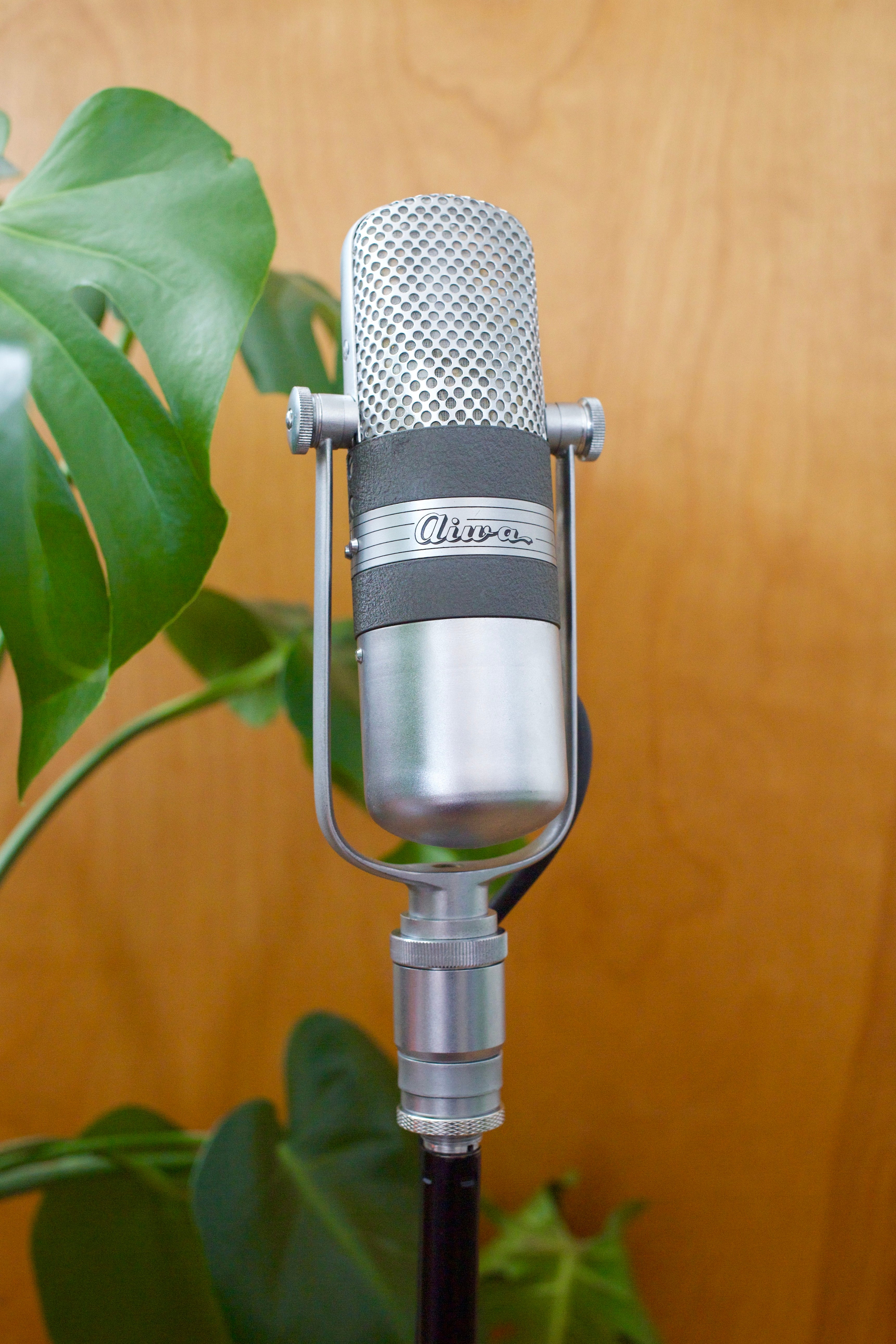 Aiwa VM-15 Ribbon Microphone – Cole Picks Vintage