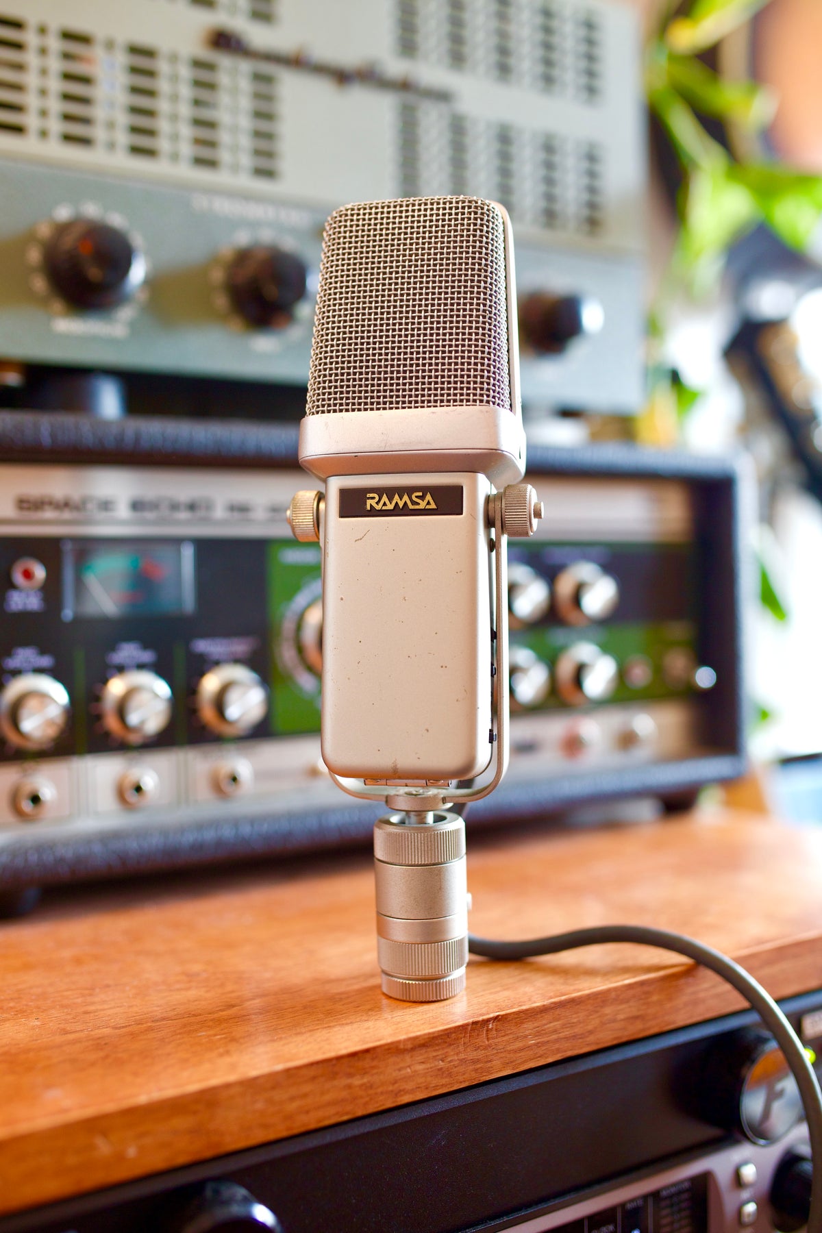 Ramsa WM-8100 Condenser Microphone
