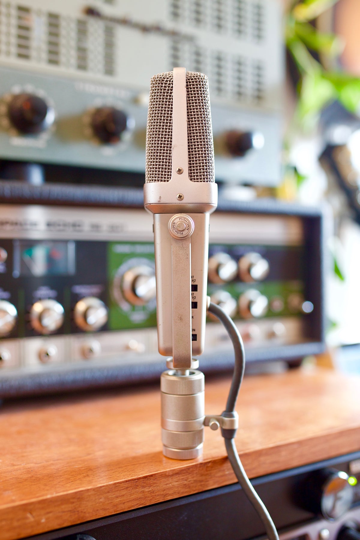 Ramsa WM-8100 Condenser Microphone