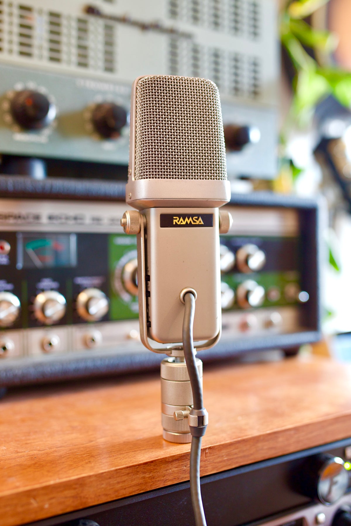 Ramsa WM-8100 Condenser Microphone