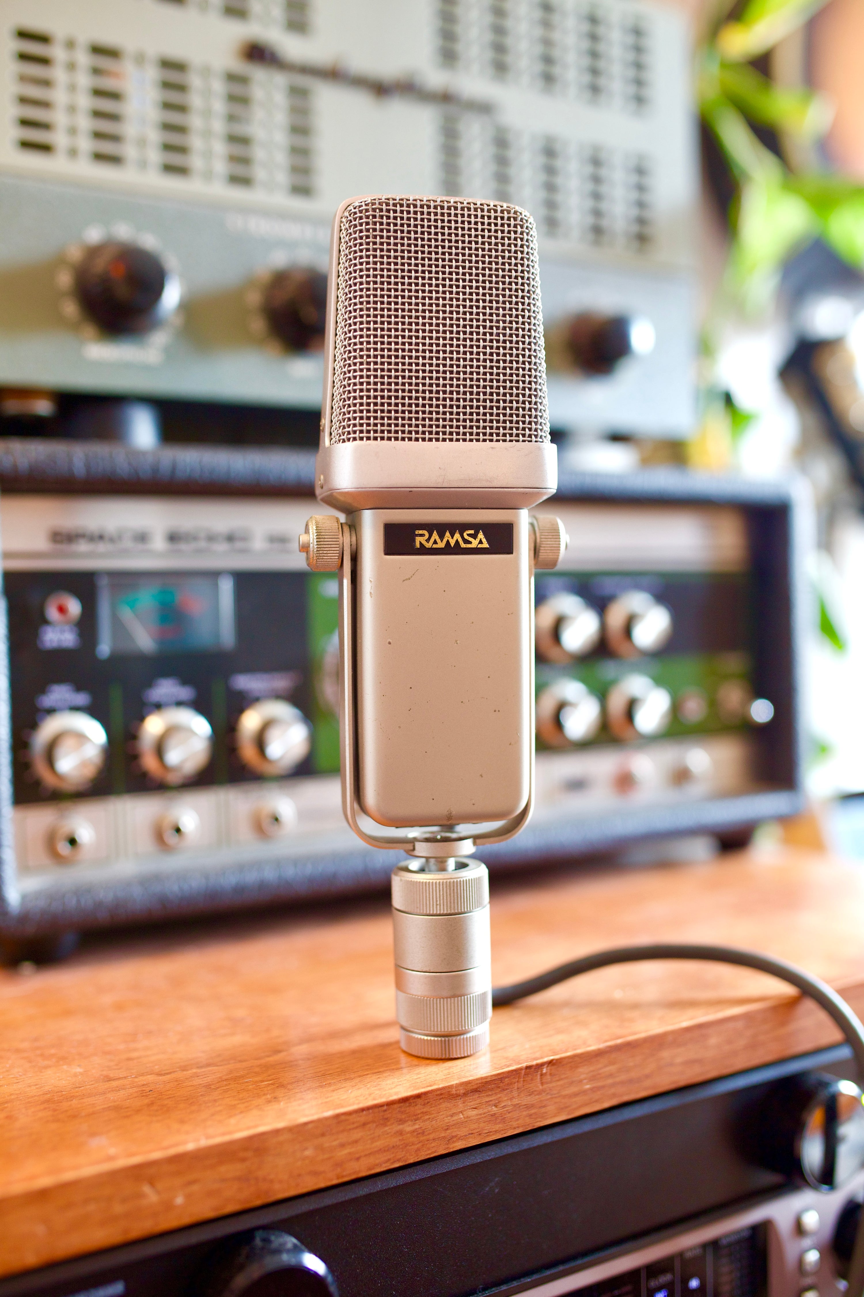 Ramsa WM-8100 Condenser Microphone