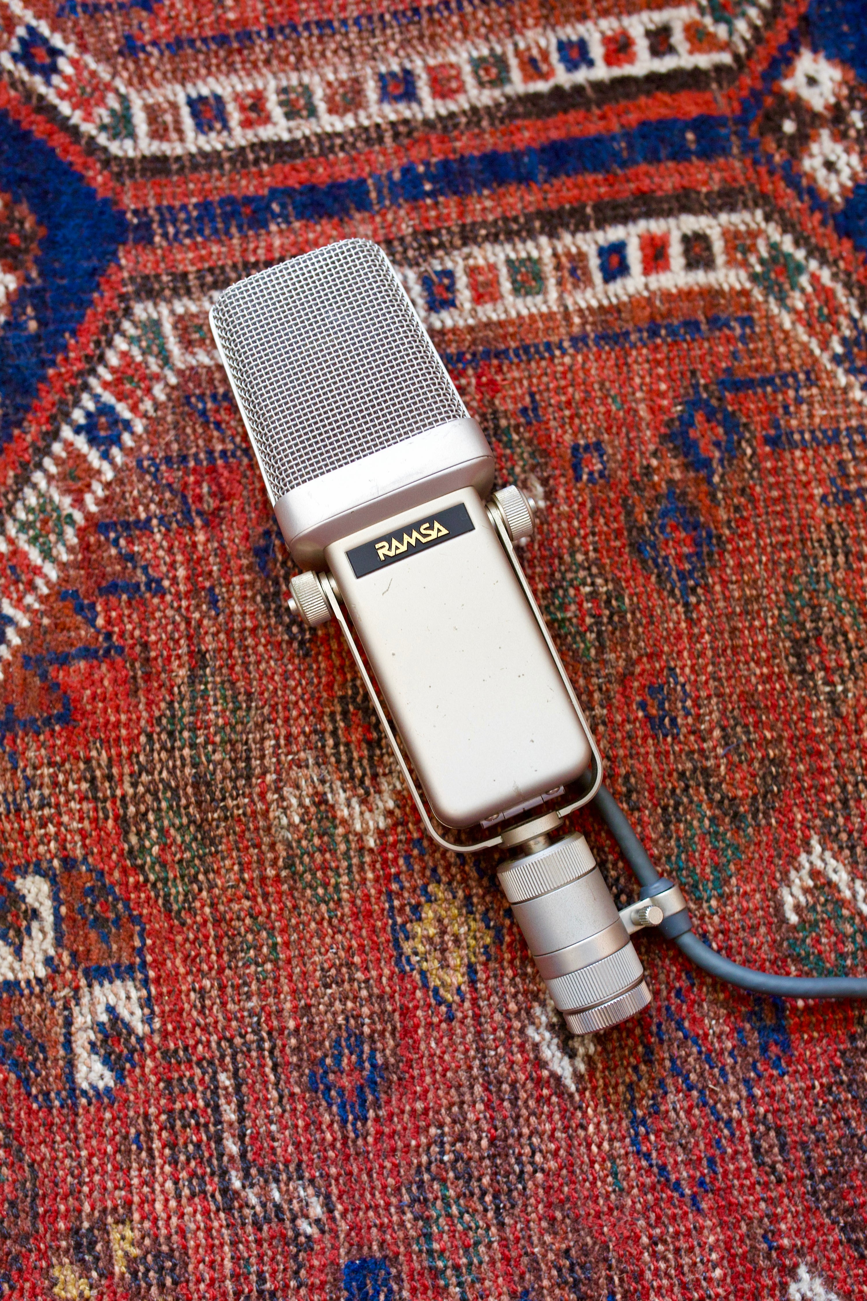Ramsa WM-8100 Condenser Microphone