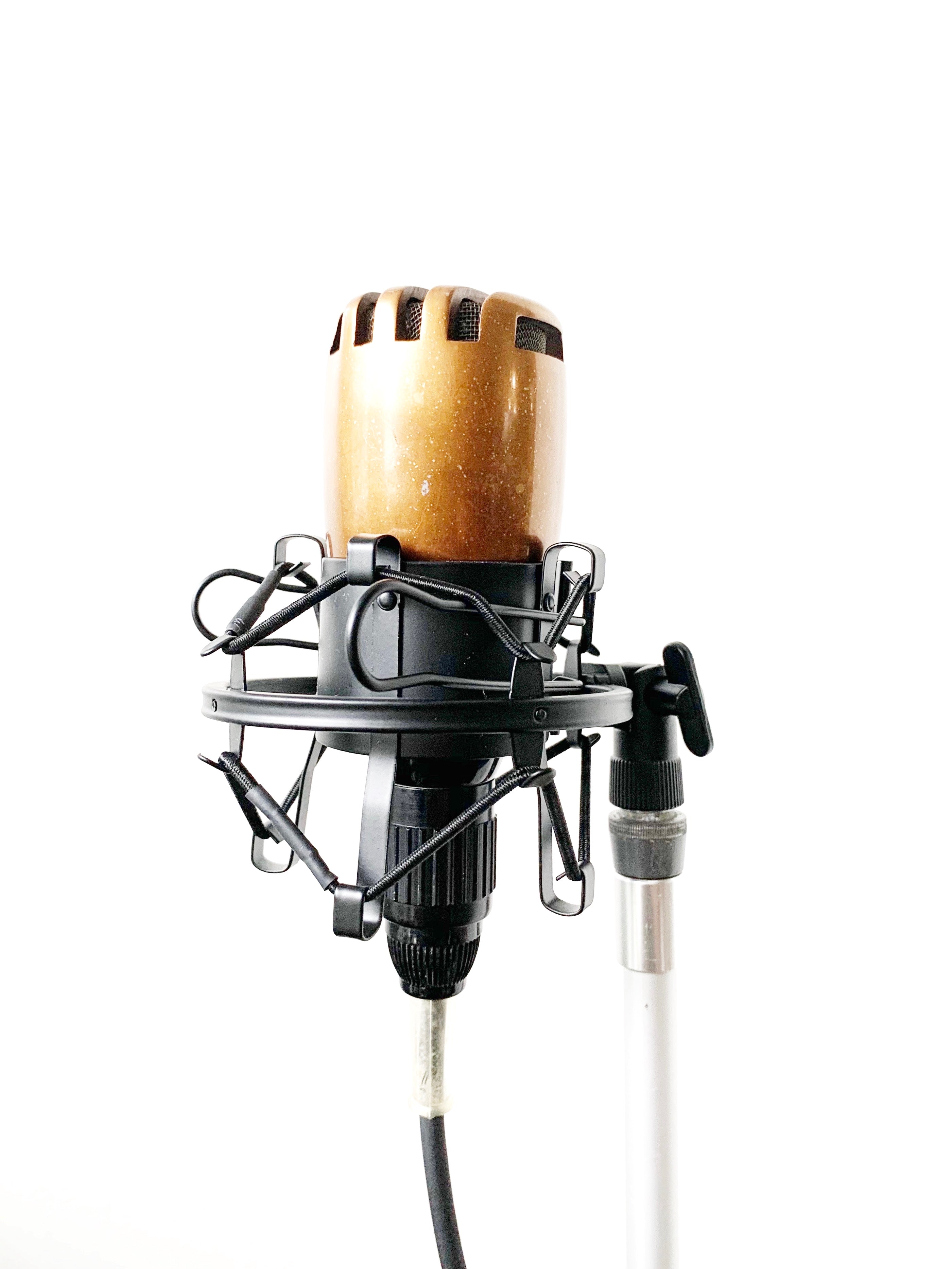 Sennheiser DM2 Dynamic Microphone 1947 – Cole Picks Vintage
