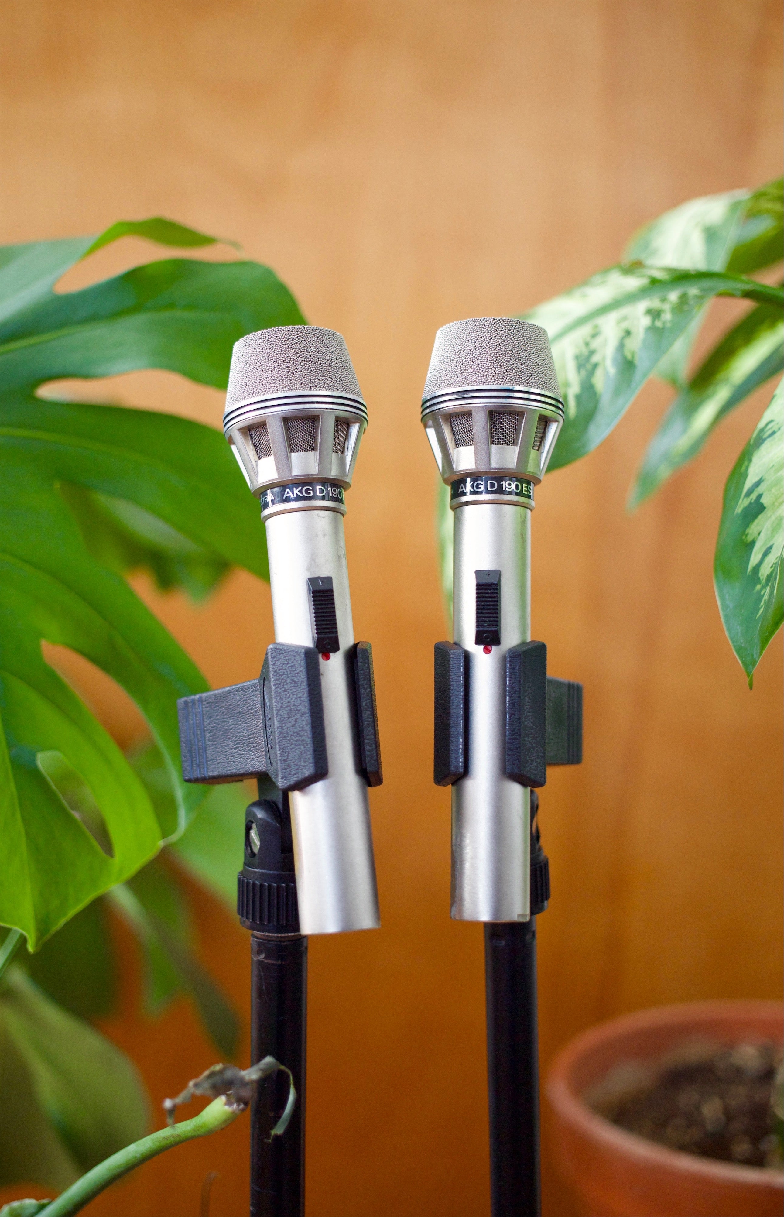 AKG D190ES Dynamic Microphone – Cole Picks Vintage