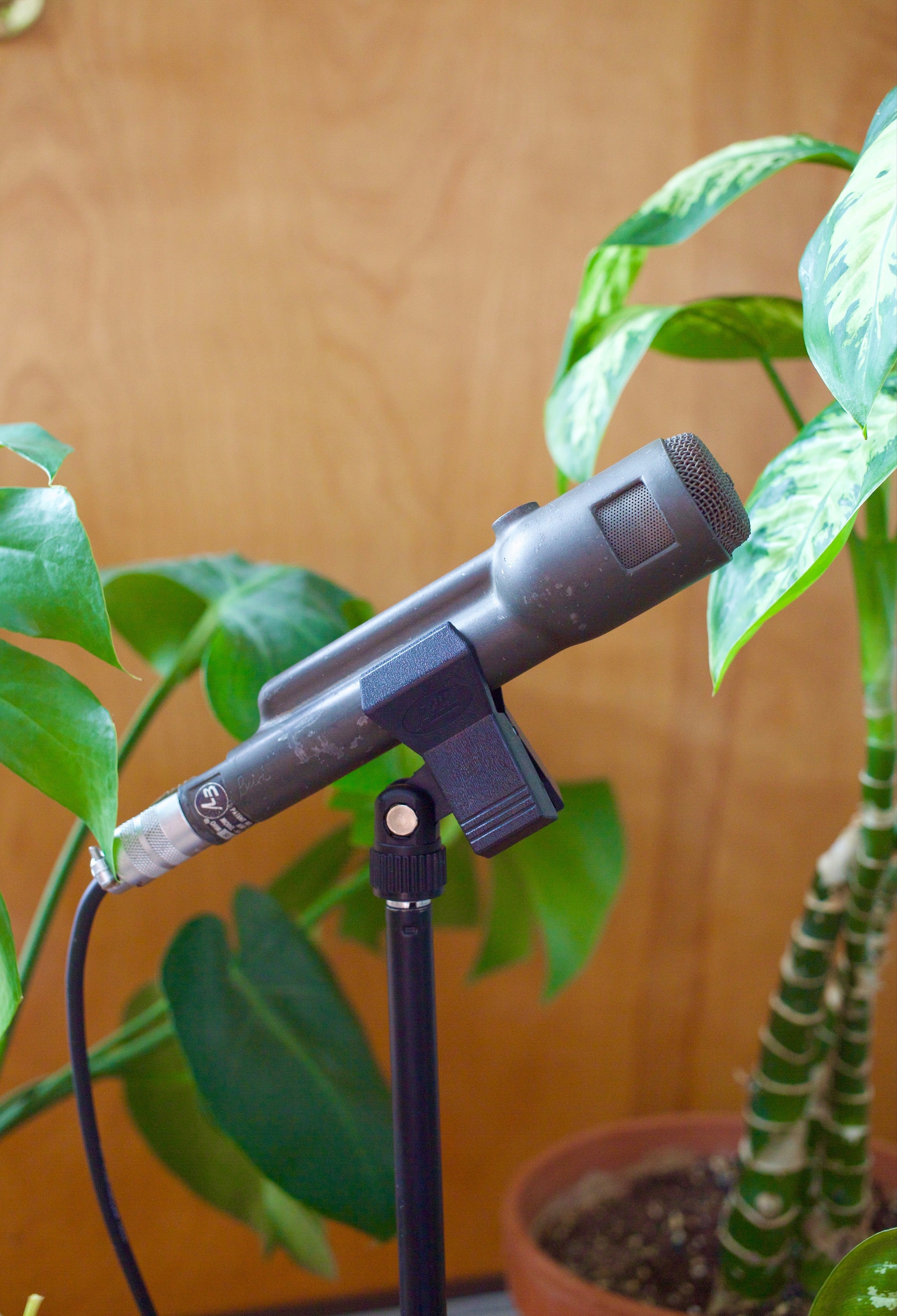 Electro Voice 666 Dynamic Microphone – Cole Picks Vintage