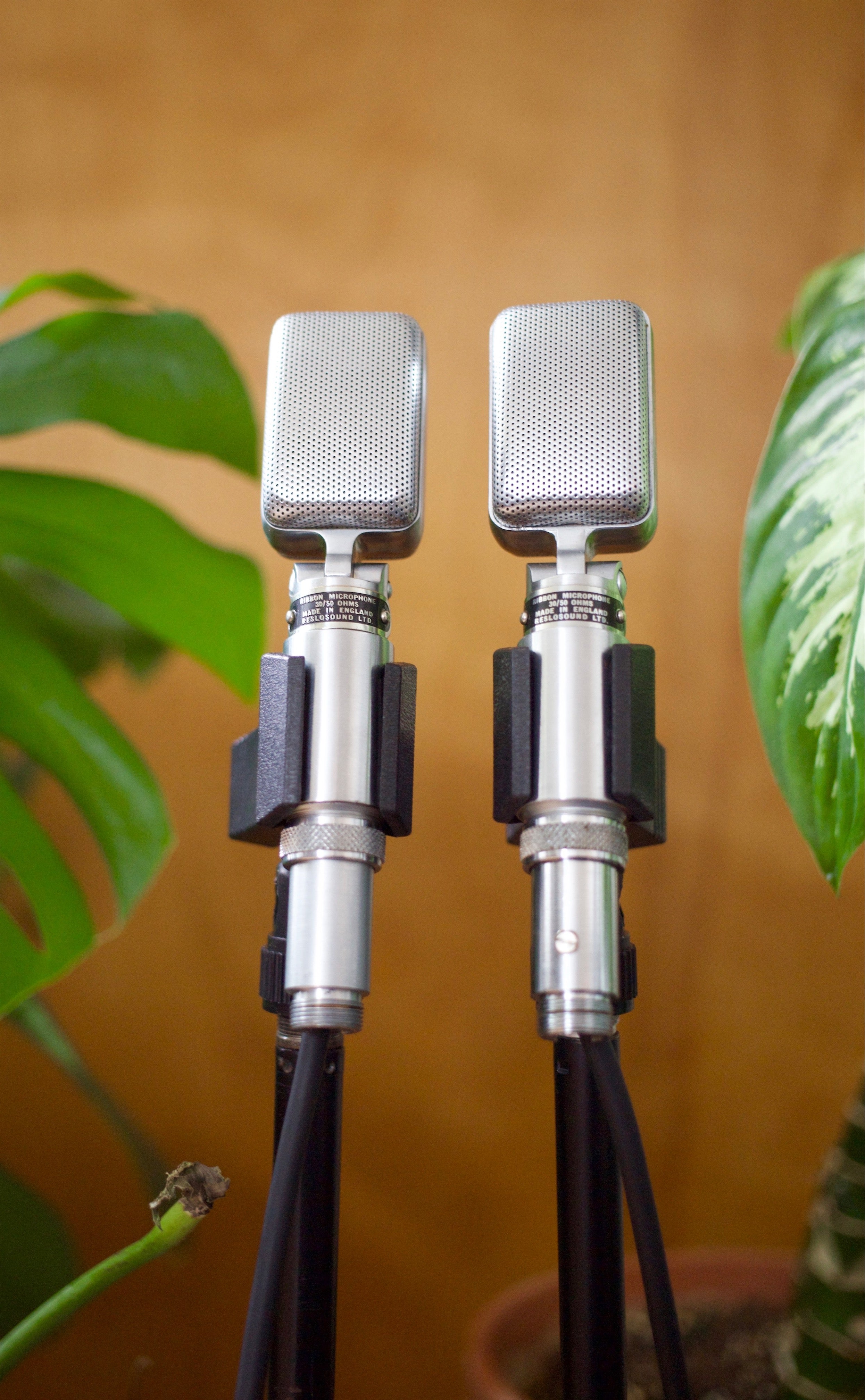 Reslo RB Ribbon Microphone Pair – Cole Picks Vintage