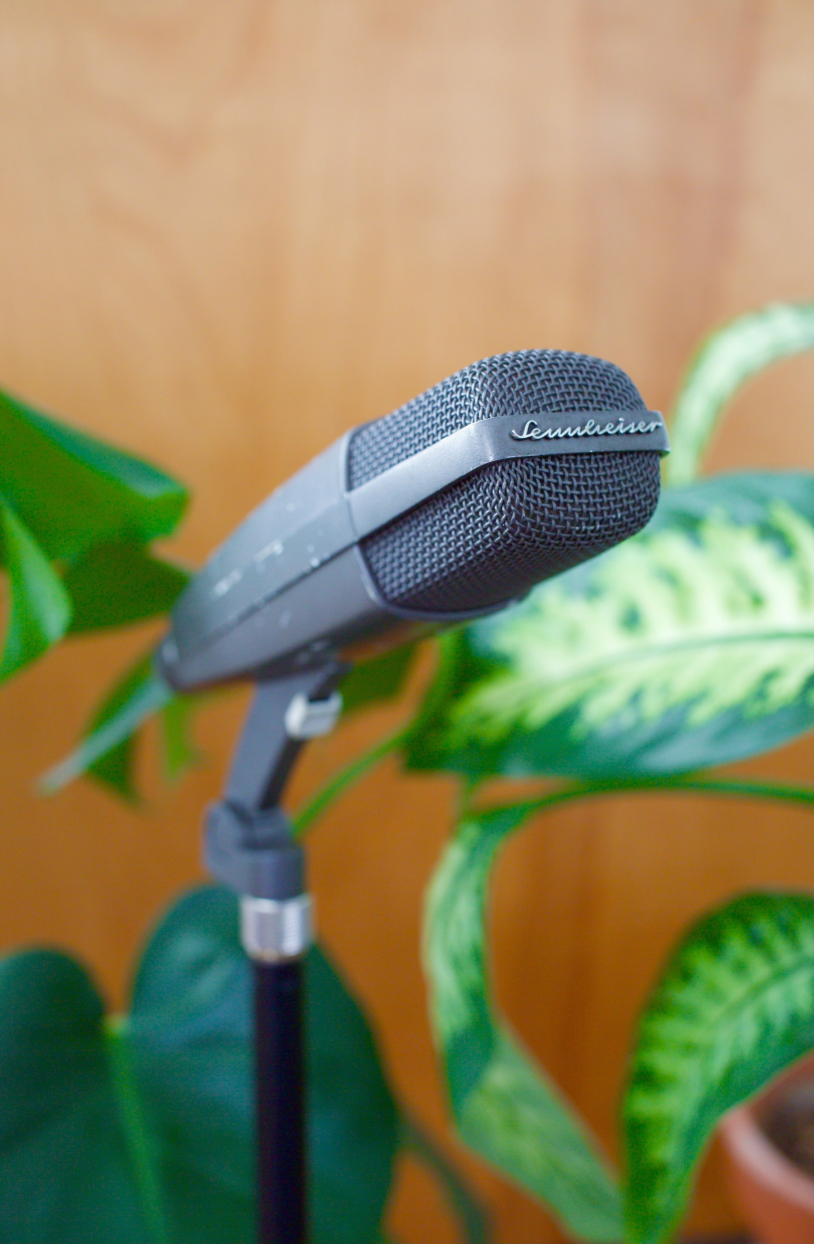 Sennheiser MD421/9 Dynamic Microphone – Cole Picks Vintage