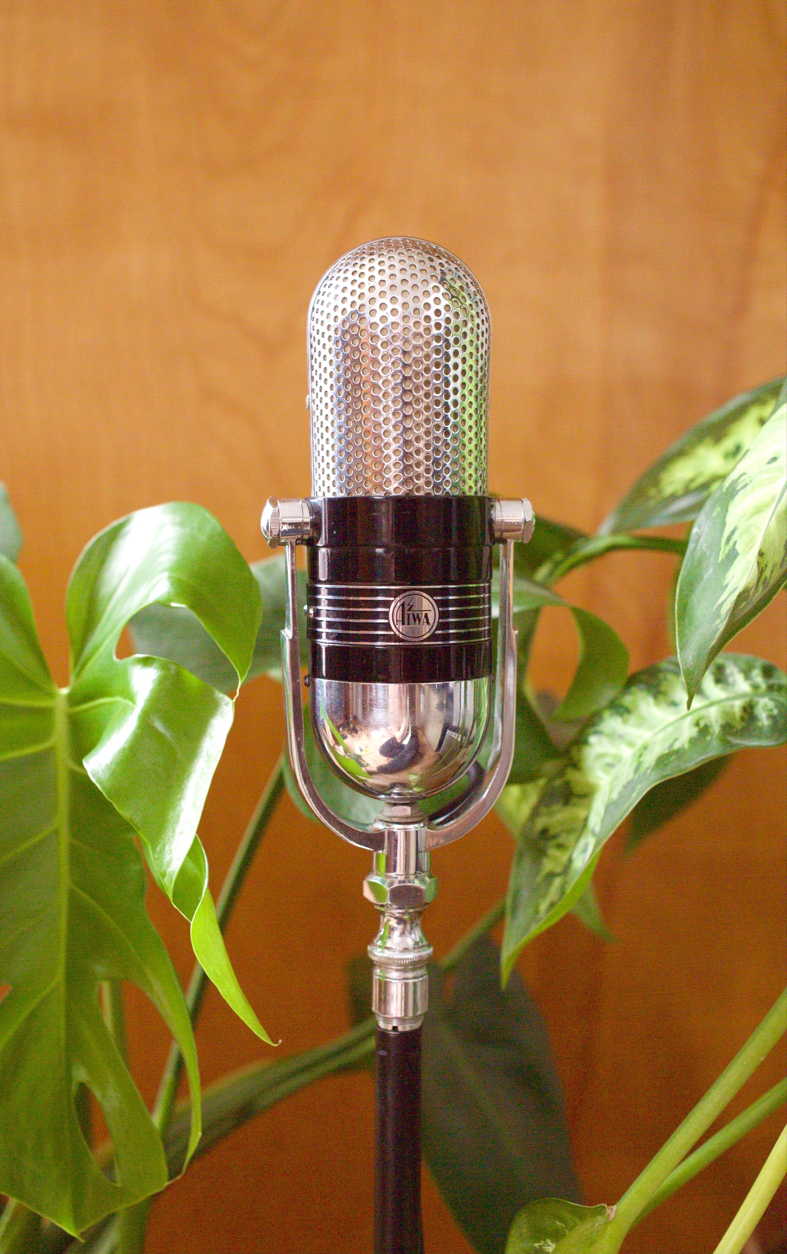 Aiwa VM-12 Ribbon Microphone