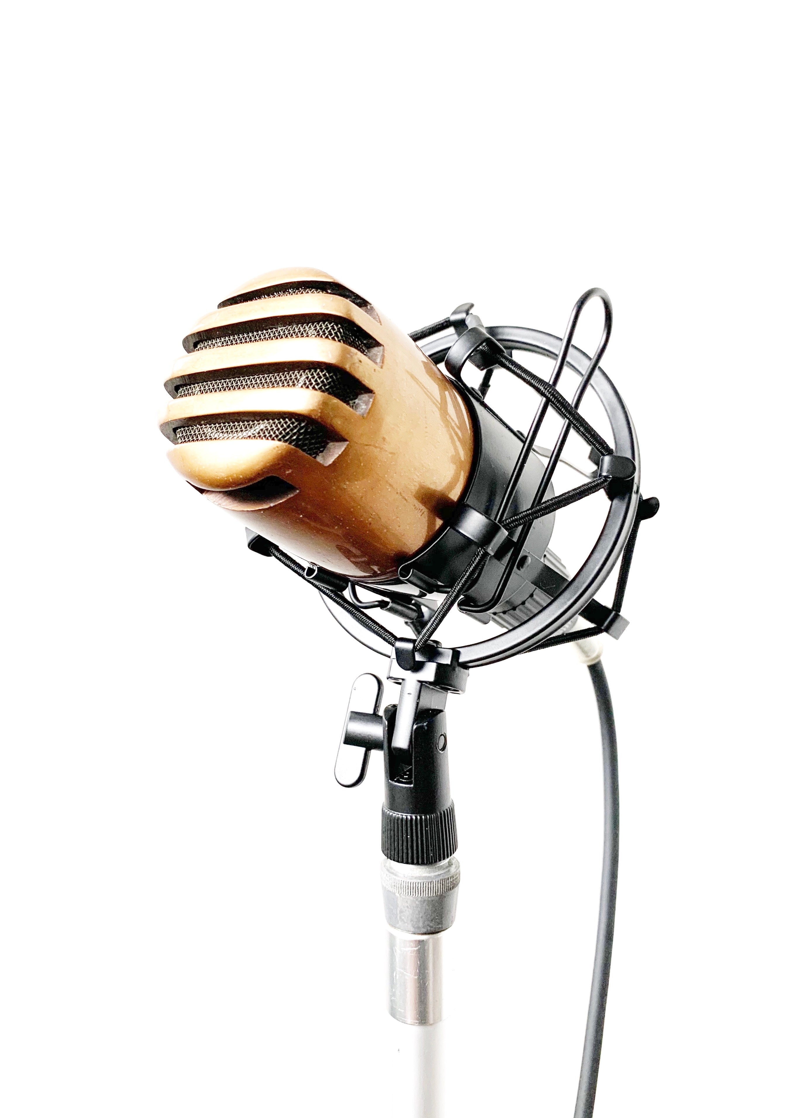 Sennheiser DM2 Dynamic Microphone 1947 – Cole Picks Vintage